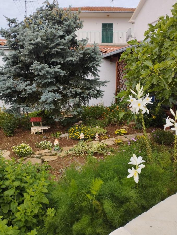 Apartmani Lucica Jezera Exterior photo